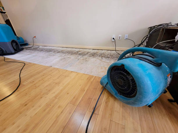 Professional Water Damage Repair technician working in Livermore, IA